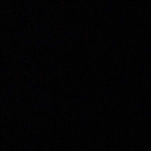 Meet your Posher, Dennis